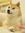 member photo member photo