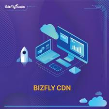 Bizflycdn