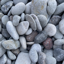 Anni
