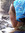 Marmot