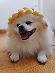 Nhật Anh