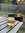 member photo member photo