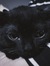 Salem