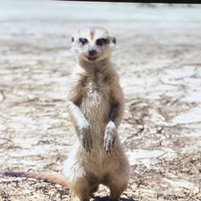 María José García