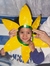 Luiza R...