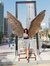 Andreia