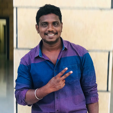 Saravanavel Palanisamy