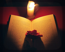 The._Bookarazzi