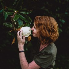 Ginger ~ Pages from Wonderland
