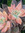 Isabel B | 1 comments