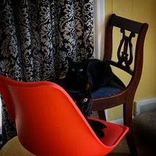 Gina