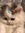 member photo member photo