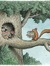Lynne - The Book Squirrel