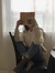 thecrazyreadingblog •booklover knows no ends•