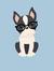 Cat's  Chapters