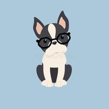 Cat's  Chapters