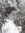 Ingrid