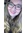 Lauren | 3 comments