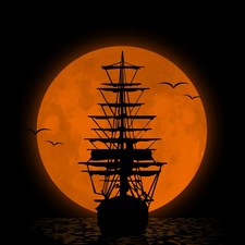 Александар Радишић