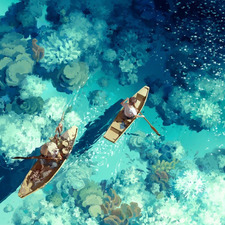 حوراء الموسوي