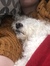 Abby
