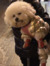 Yanan