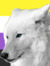 Blake