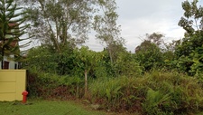 Nor Azmi