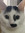 Banu (smilingbone) | 2 comments