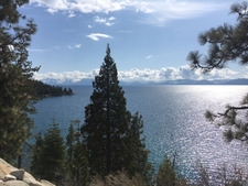 Pumblechookian Elbow