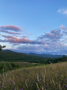 Fatima Kiomarthzadeh