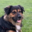 Sam