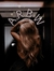 A_RomanticBookWorld