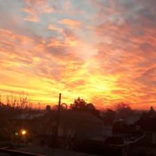 Ale (Lectora_descarada)