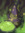 Jojo | 2 comments