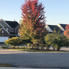 Georgia  Washington