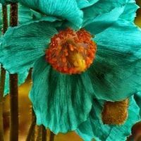 ابداع ابداع