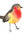 Little__Bird