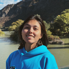 Нино Гулбиани