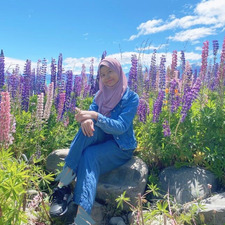 Wardah