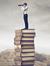 Lady Awesome: Middle Grade Explorer