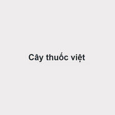Cay thuoc Viet