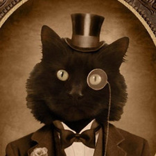 Victorian Cat
