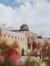 منار  بدر