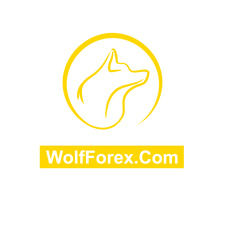 Hoc Vien Giao Dich Forex