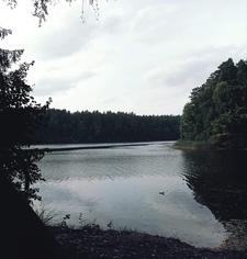 Michał Kaźmierczak