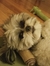 Ollies_Mom