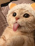 amal