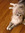 Nlydia | 5 comments