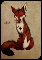 Fox Lokison